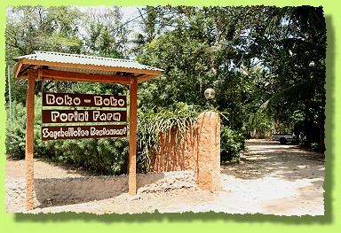 Porini Restaurant, Kikambala - Kenya